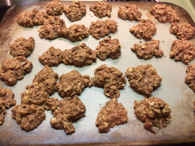 7 Ways to Eat Pine Trees, Yearround The Grow Network The Grow Network